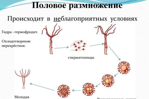 Адрес омг в тор