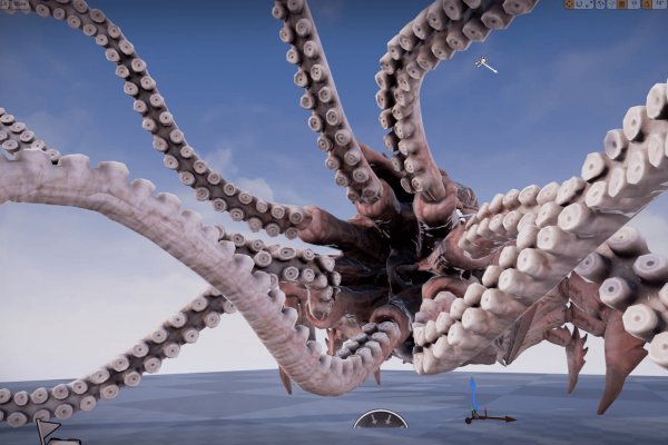 Kraken web